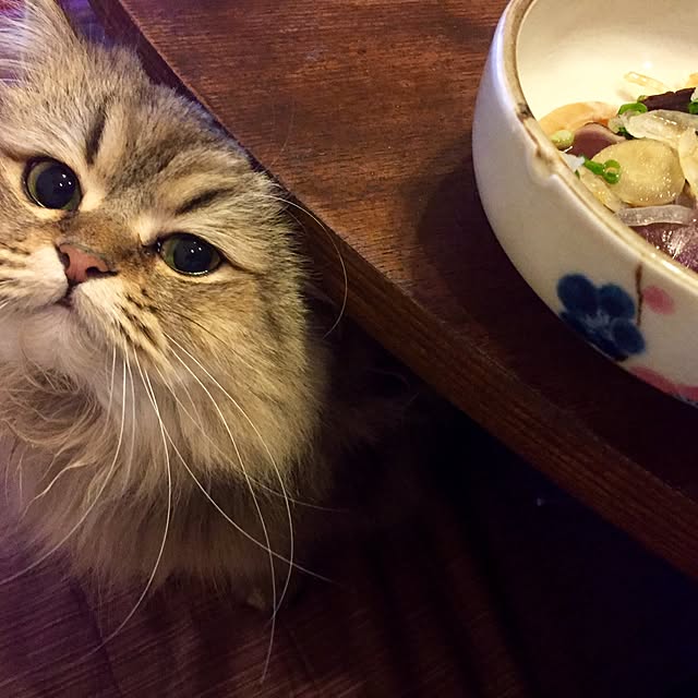 butachanさんの実例写真