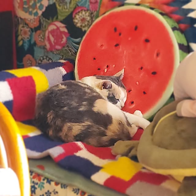 kumutanさんの実例写真