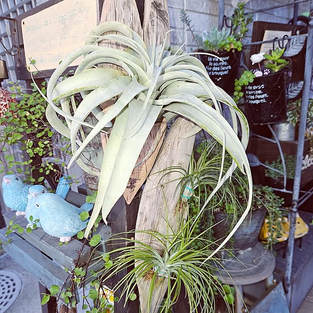 mocomocoさんの部屋