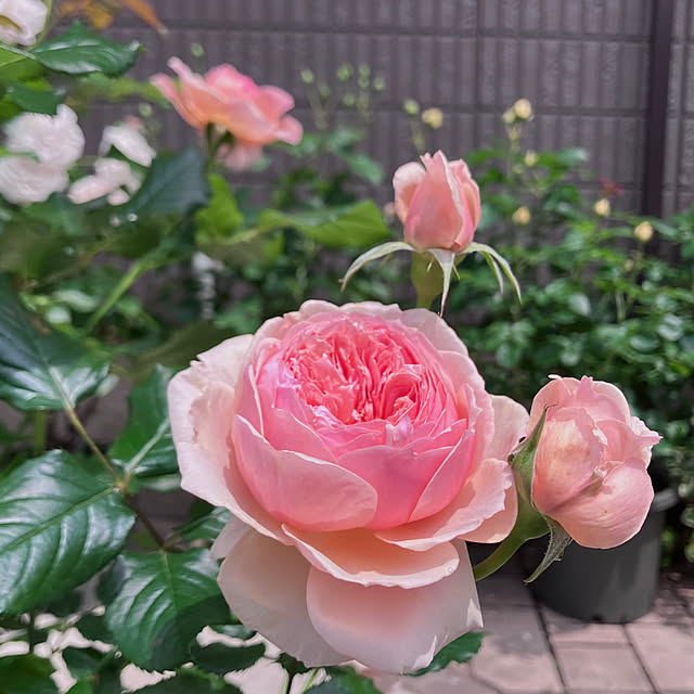 tinkunさんの実例写真