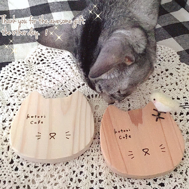 kotoriさんの実例写真