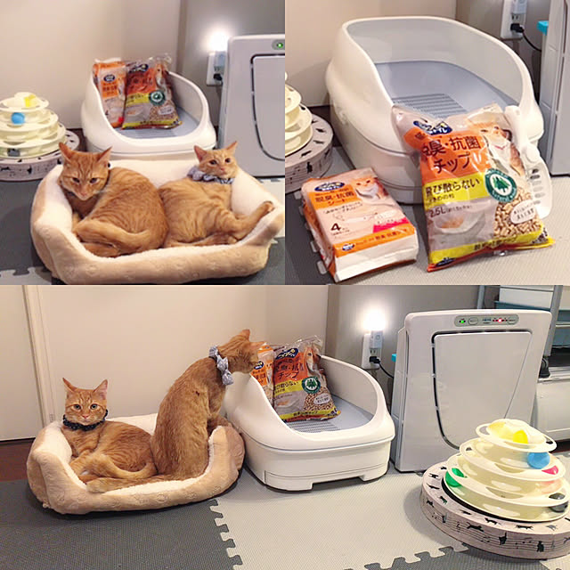 home_m_styleさんの実例写真