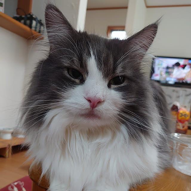 shinobuさんの実例写真