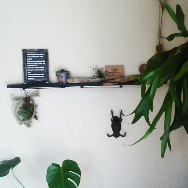 oliveさんの実例写真