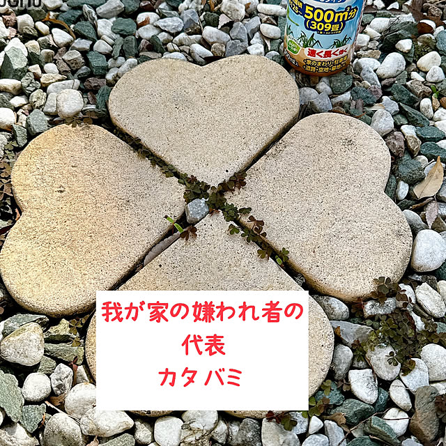 miyuさんの部屋