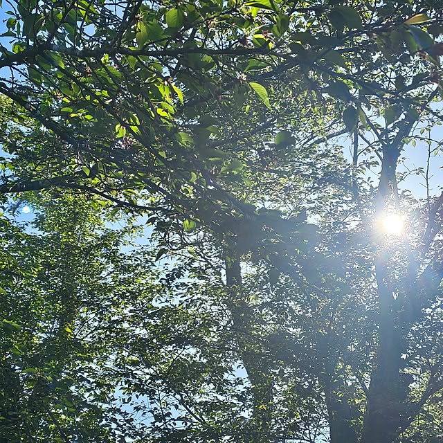 Rubiconさんの部屋