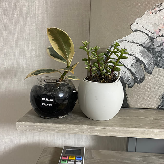 riserinrio021230510さんの部屋