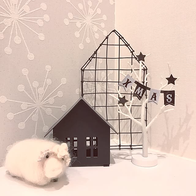 ayaさんの実例写真