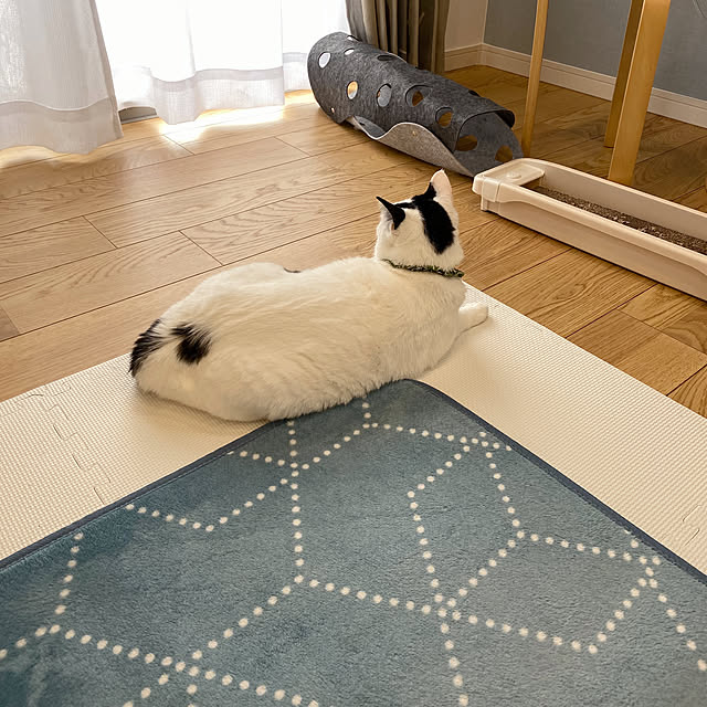 ririmama_roomさんの実例写真
