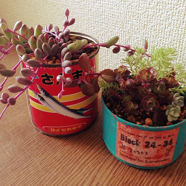 Nanakoさんの実例写真