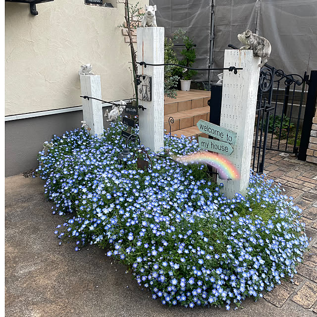 usakoさんの部屋
