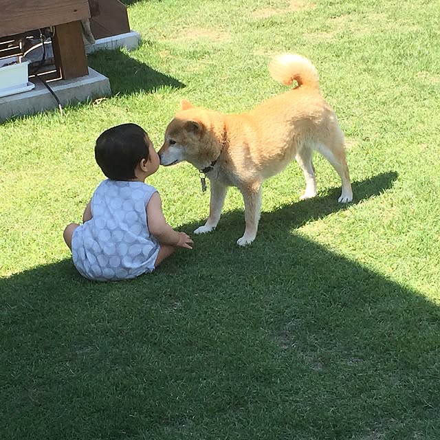 Chuppeetaさんの実例写真