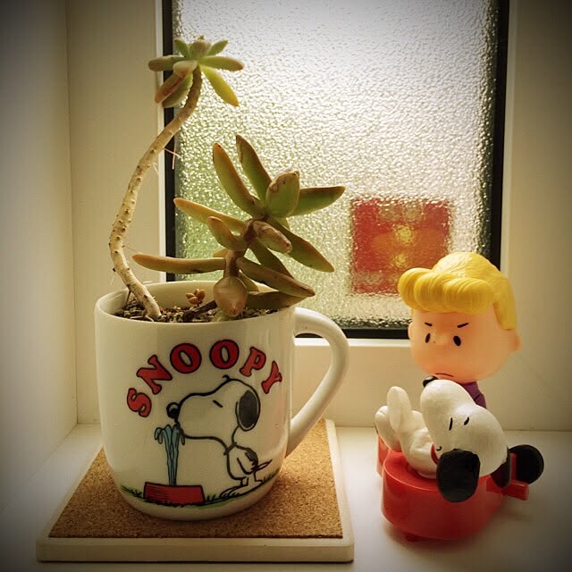 ozami_ismartさんの実例写真