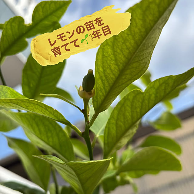 Ururuさんの部屋