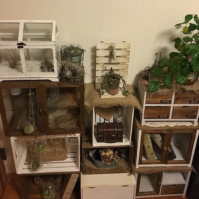 naokiさんの実例写真