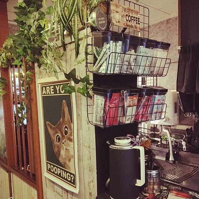 runaさんの実例写真