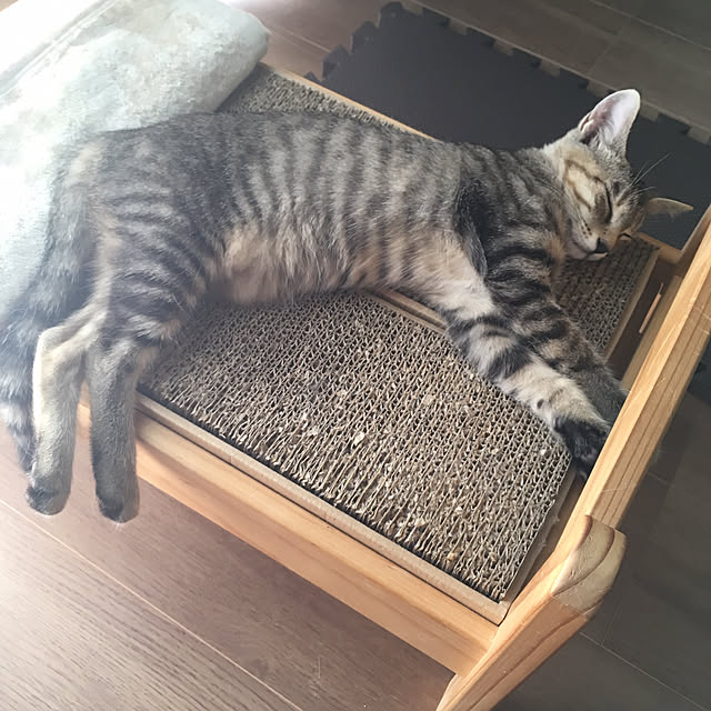mikomaruさんの実例写真