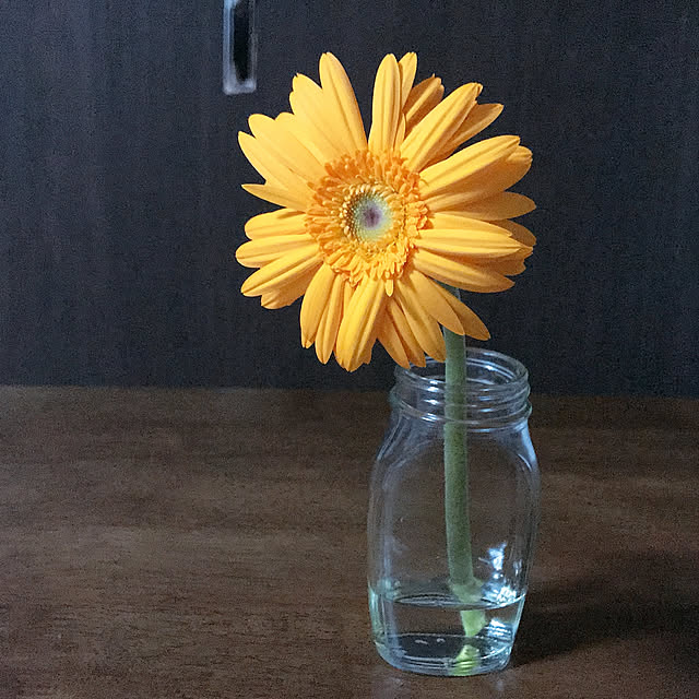 mappyさんの実例写真
