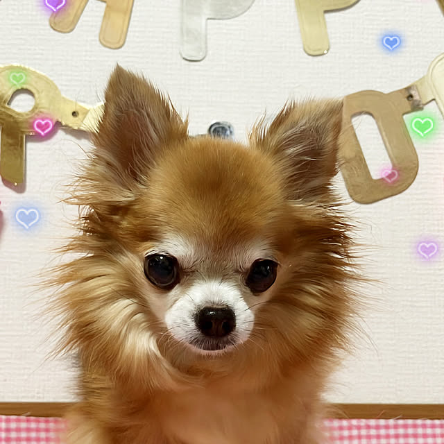 koroさんの部屋