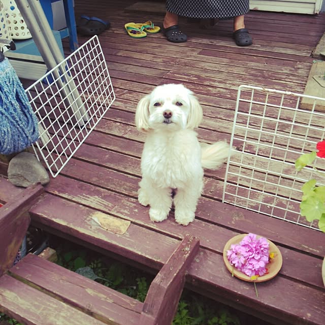 Yumiさんの実例写真