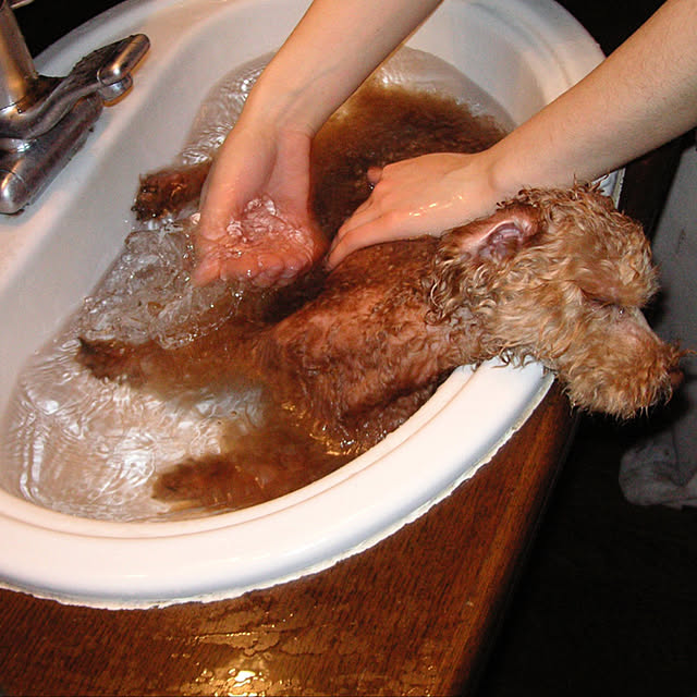 mamizaさんの実例写真