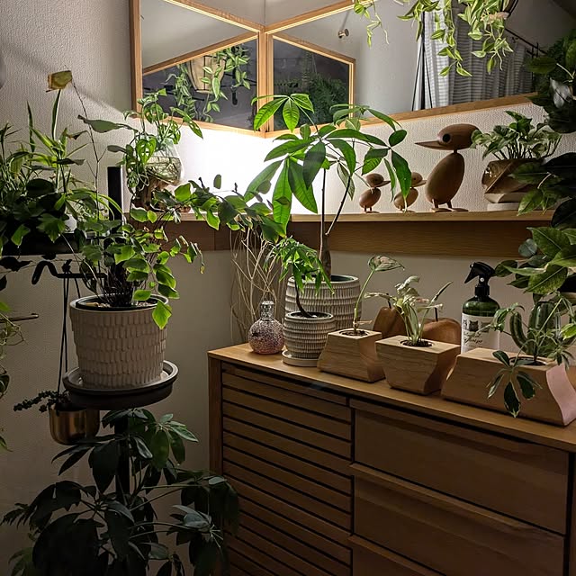 ayamameさんの部屋