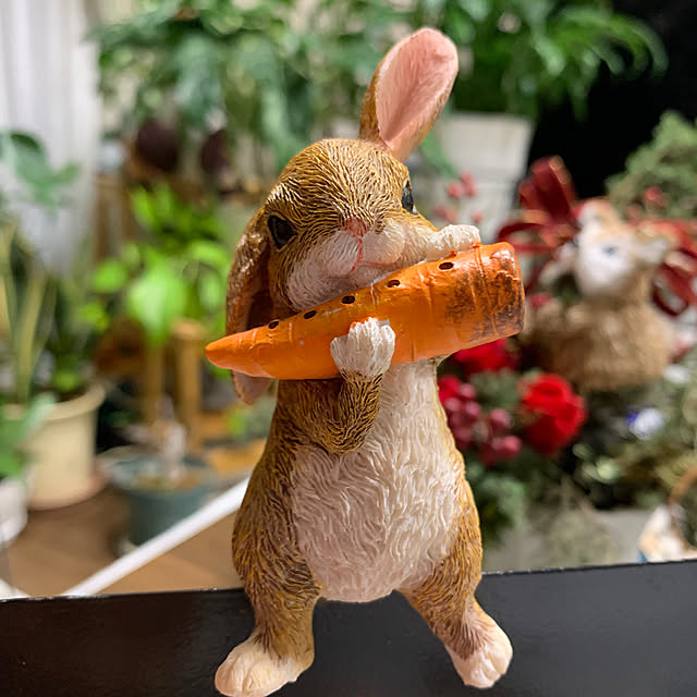 Aqettyさんの実例写真