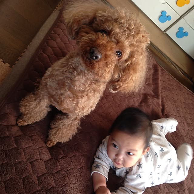 GOD.FJさんの実例写真