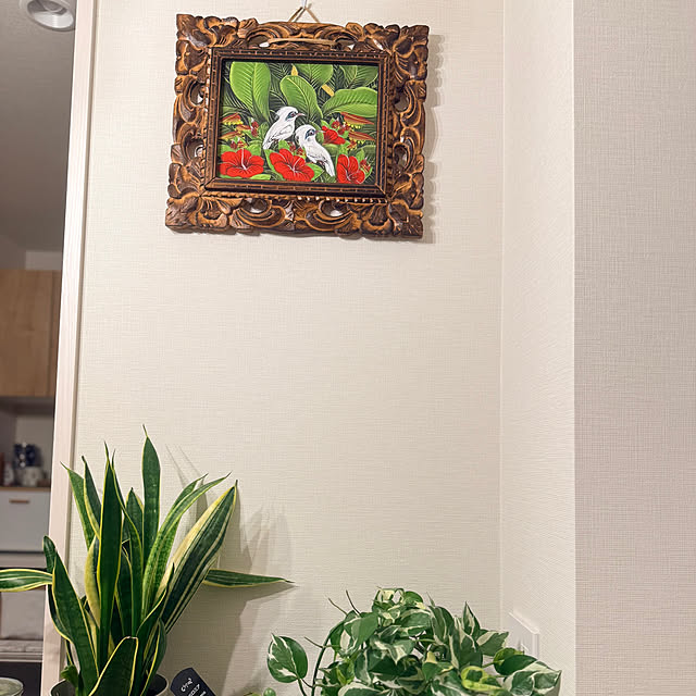 kokedamaさんの部屋