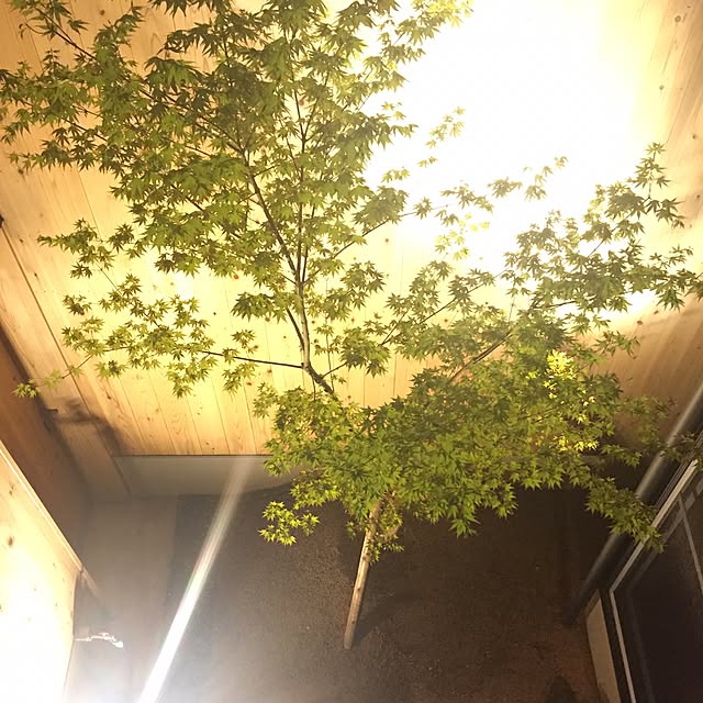 tsurutanboさんの実例写真
