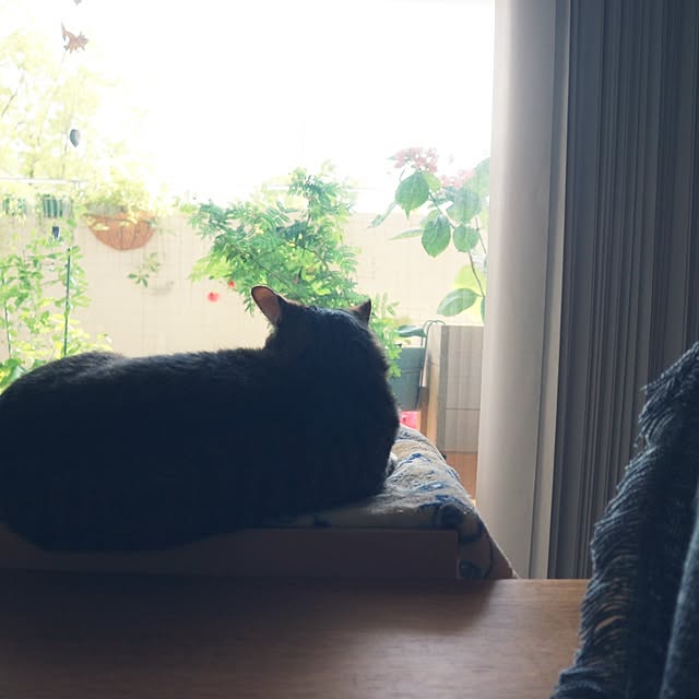 hanacocoさんの部屋