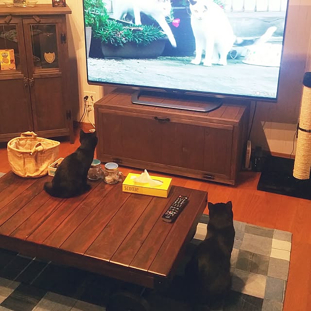 Momokaさんの実例写真