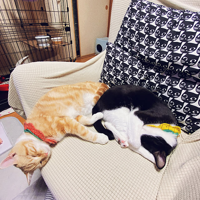 moolさんの部屋