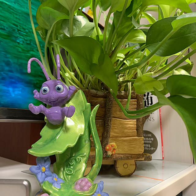 Aqettyさんの実例写真