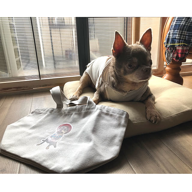 shippoさんの部屋