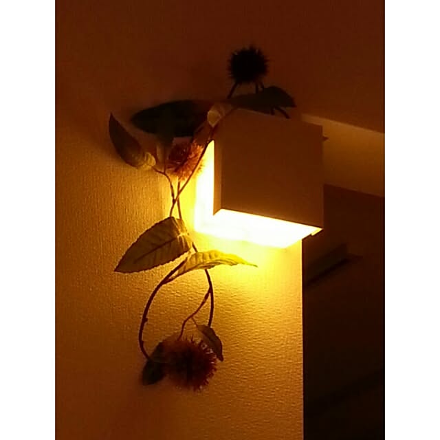 naoさんの実例写真