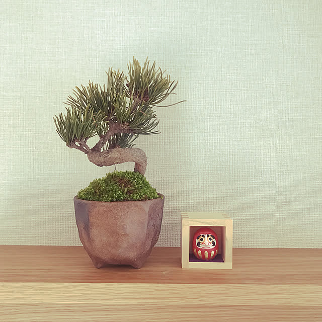 mimipakupakuさんの部屋
