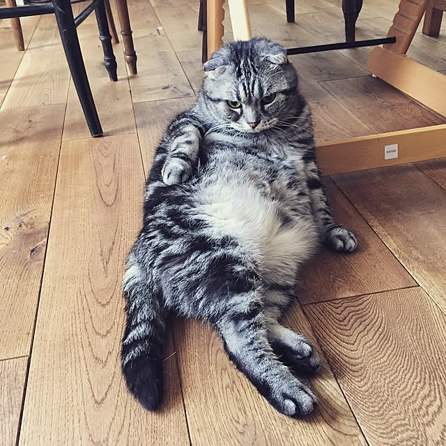 miyukoさんの実例写真