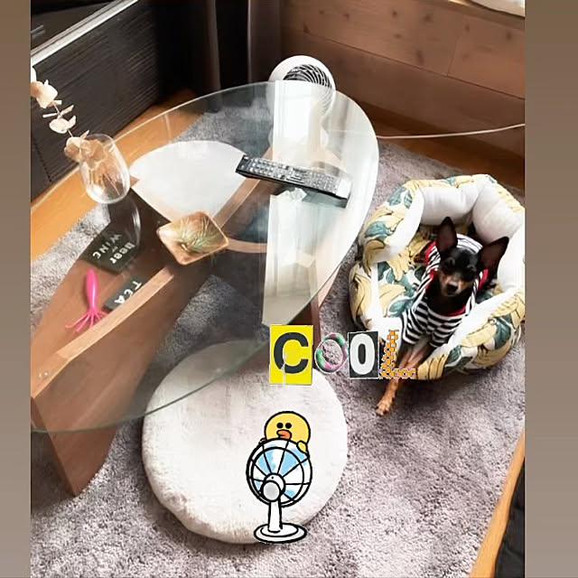 michoさんの実例写真