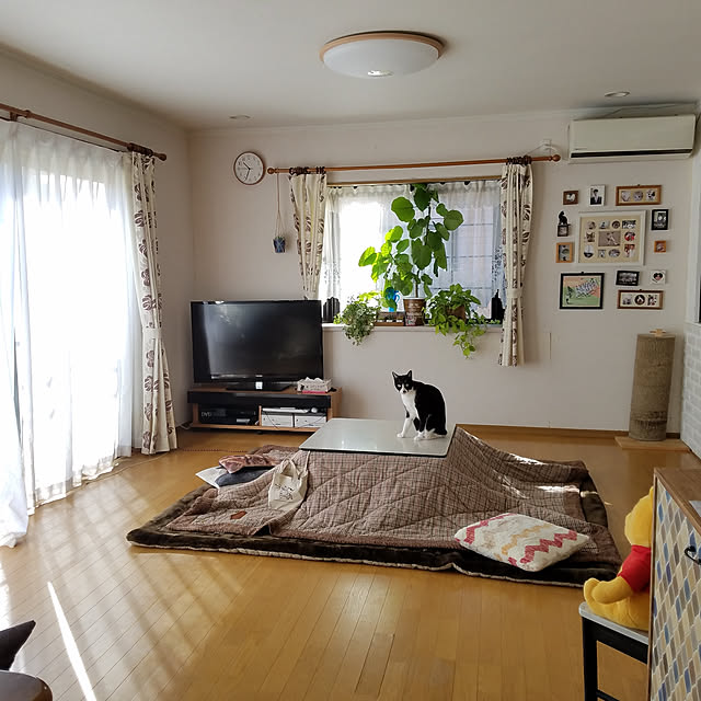 Kinanさんの実例写真