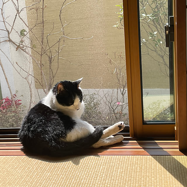 maruさんの部屋