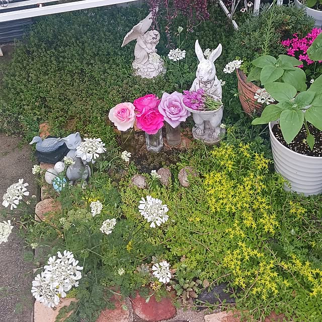 aiさんの部屋