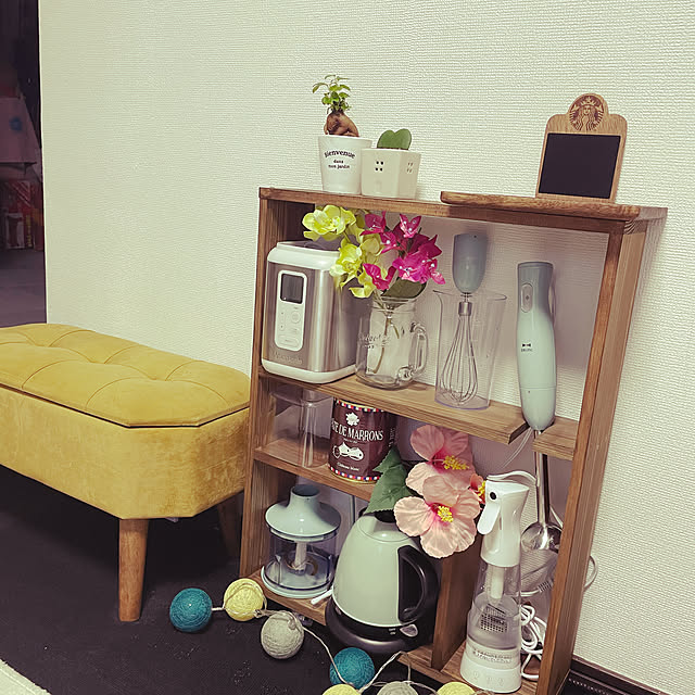 DIY/カフェ風/観葉植物/多肉植物/棚のインテリア実例 - 2021-09-07 17:56:07