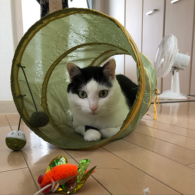 k.Iさんの実例写真