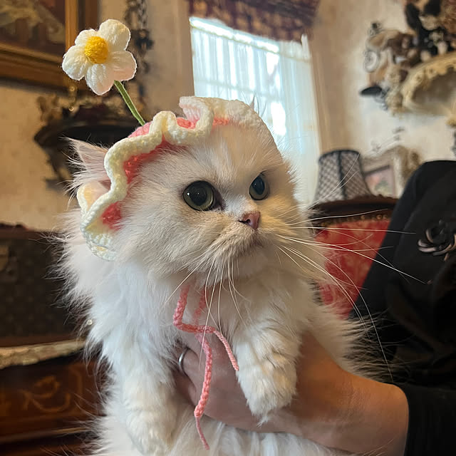 AYUKOさんの部屋