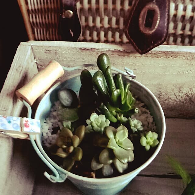 0103_eriさんの実例写真