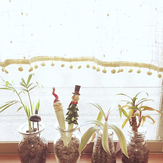 eriさんの実例写真