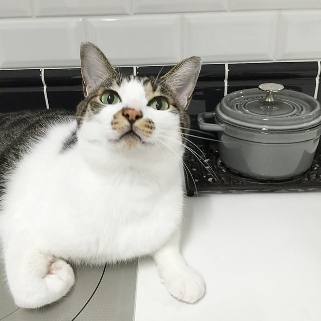 yuchiさんの実例写真