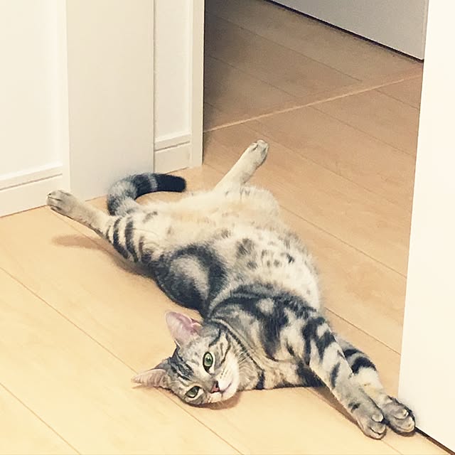 maripoさんの実例写真
