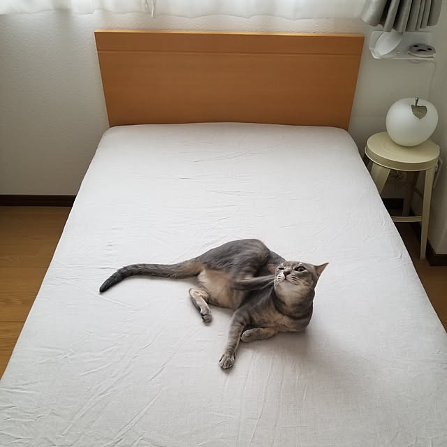 yukiさんの実例写真